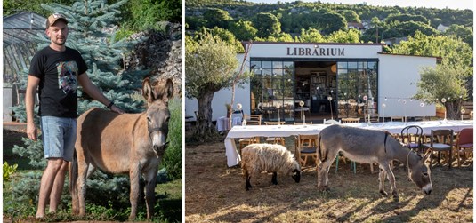 Student Agromediteranskog fakulteta (39): Uz posao, farmu i obitelj završavam još jedan diplomski studij